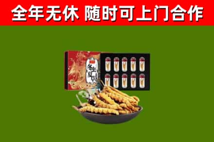 巫溪回收冬虫夏草价格